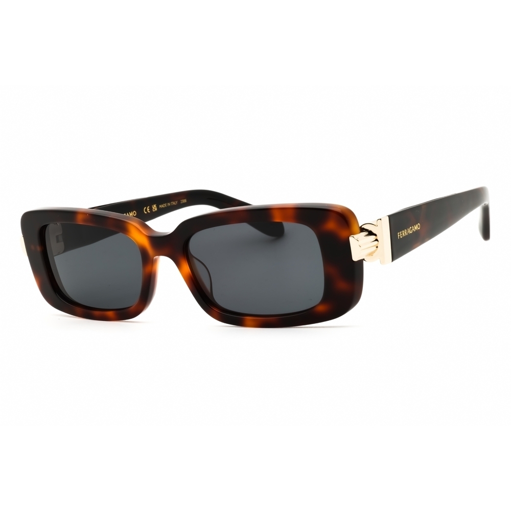 Salvatore Ferragamo SF1105S Sunglasses Tortoise Acetate Rectangle